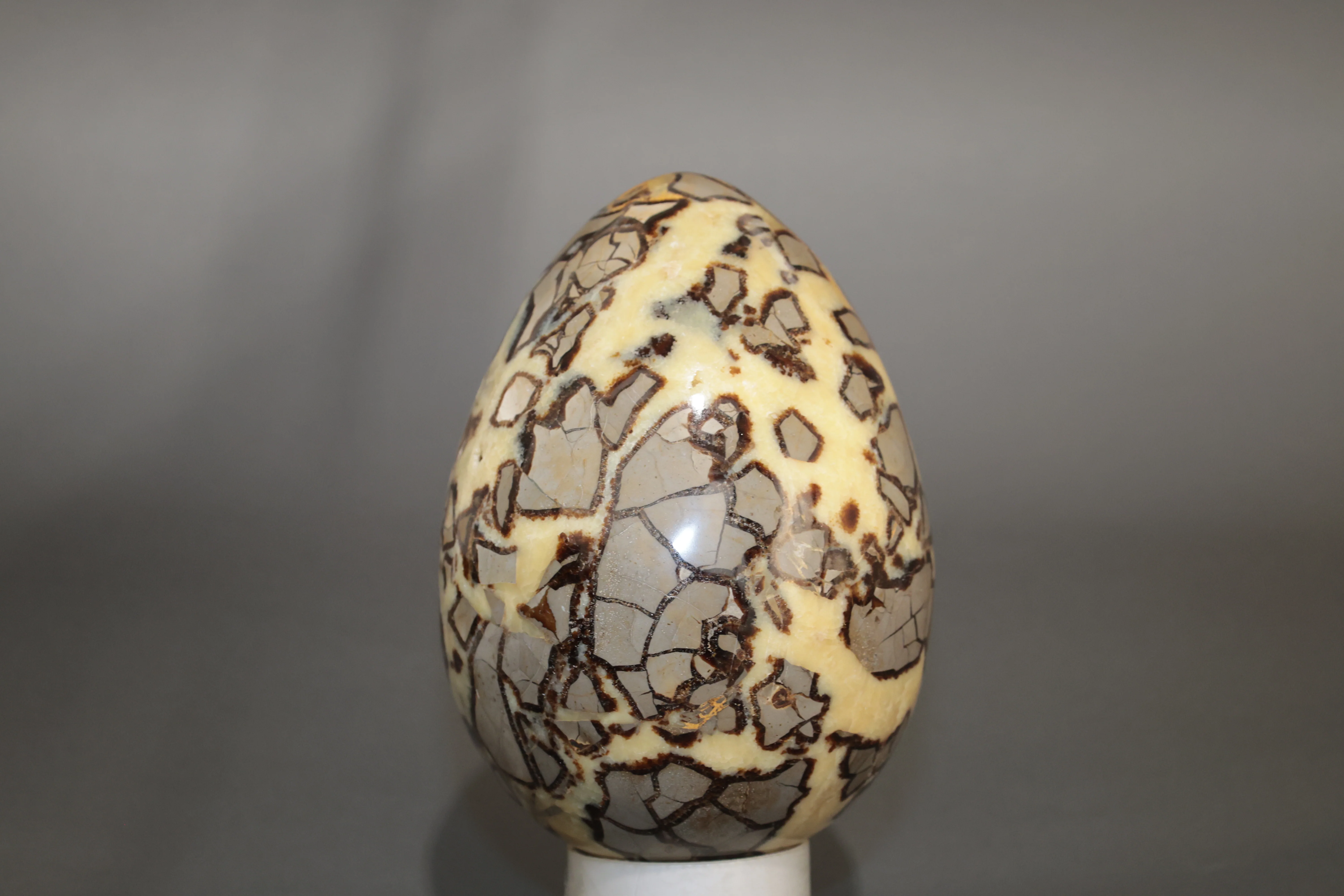 Septarian Nodule Egg Sculpture - 9.65" - Image 5