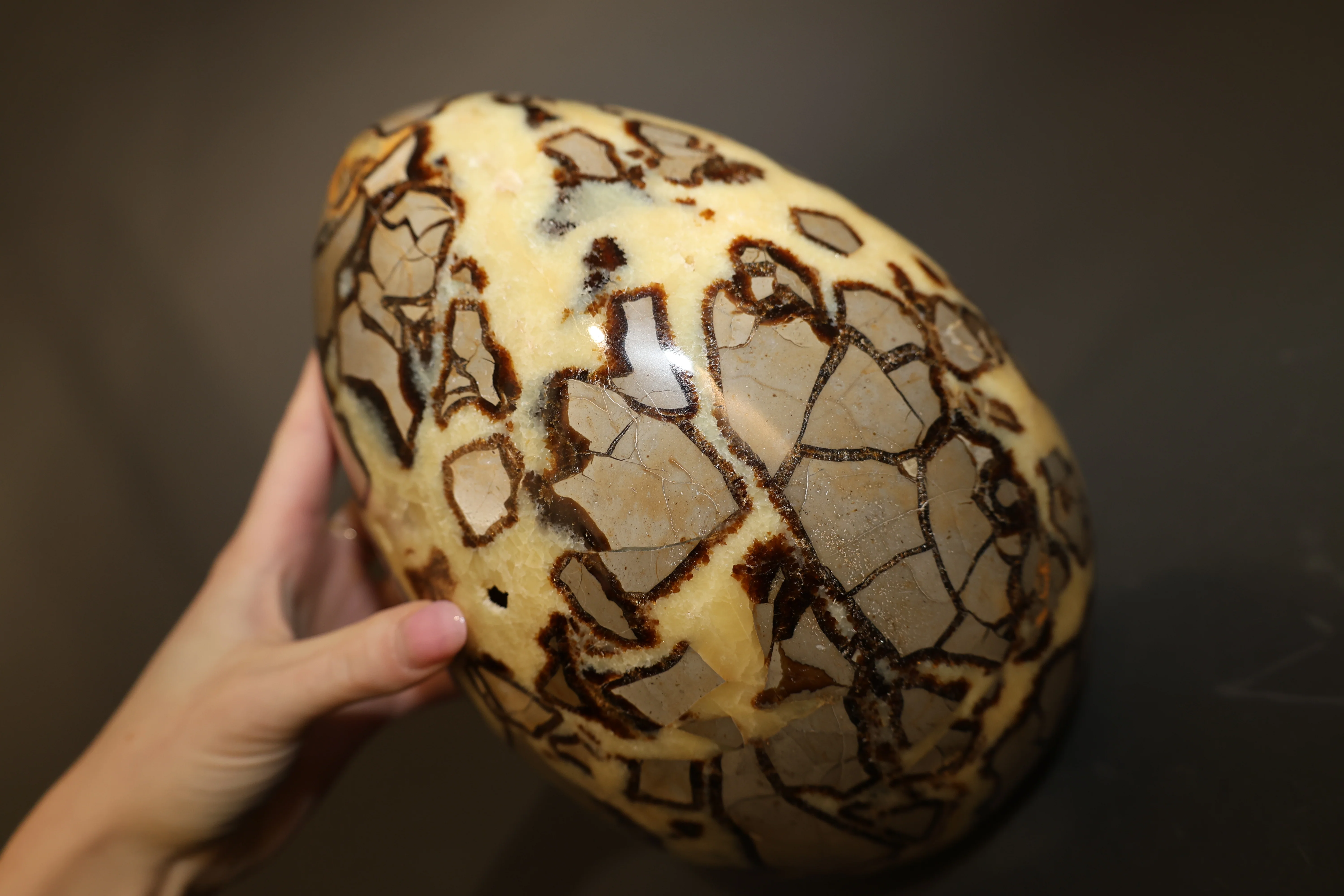 Septarian Nodule Egg Sculpture - 9.65" - Image 6