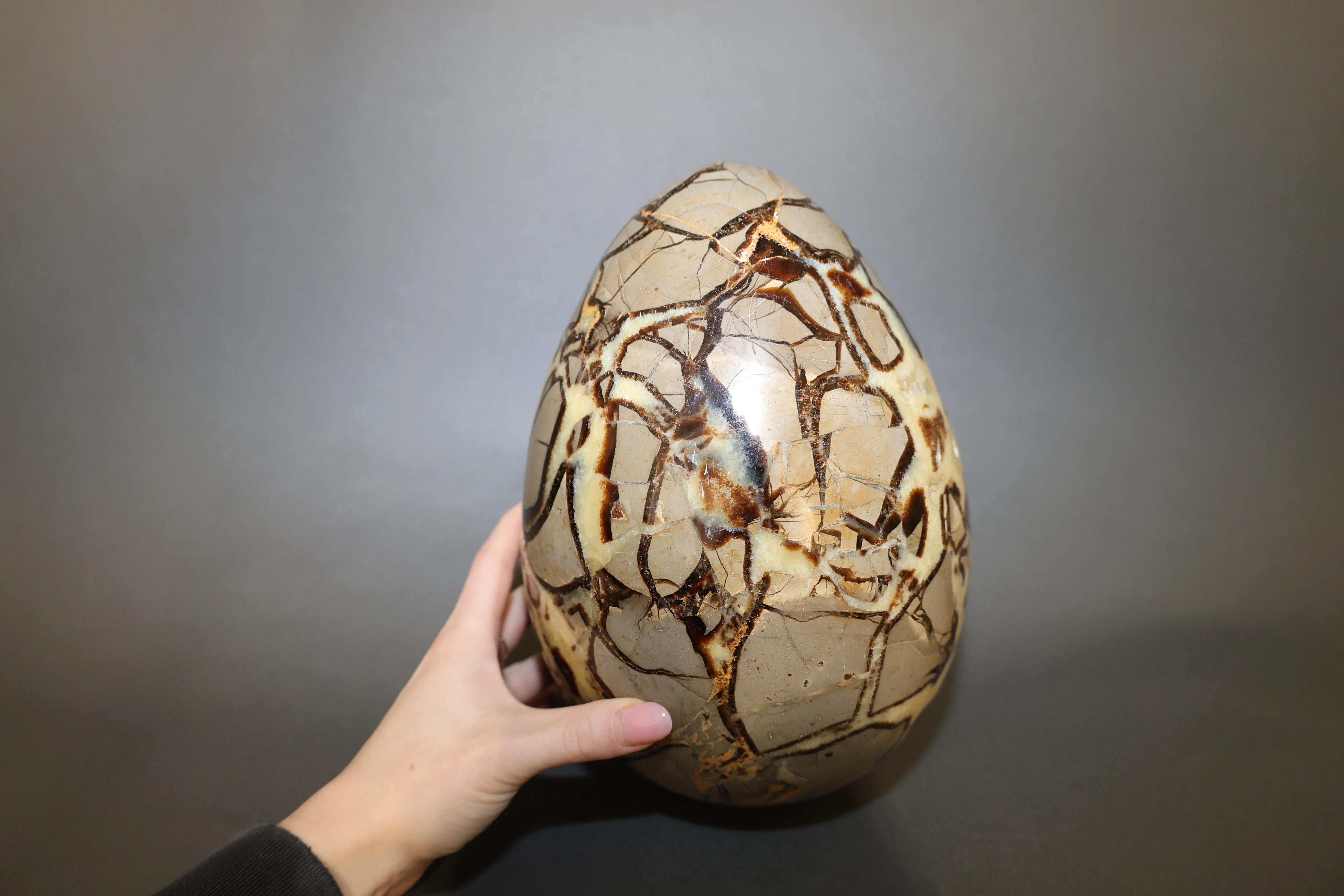 Septarian Nodule Egg Sculpture - 9.65" - Image 7