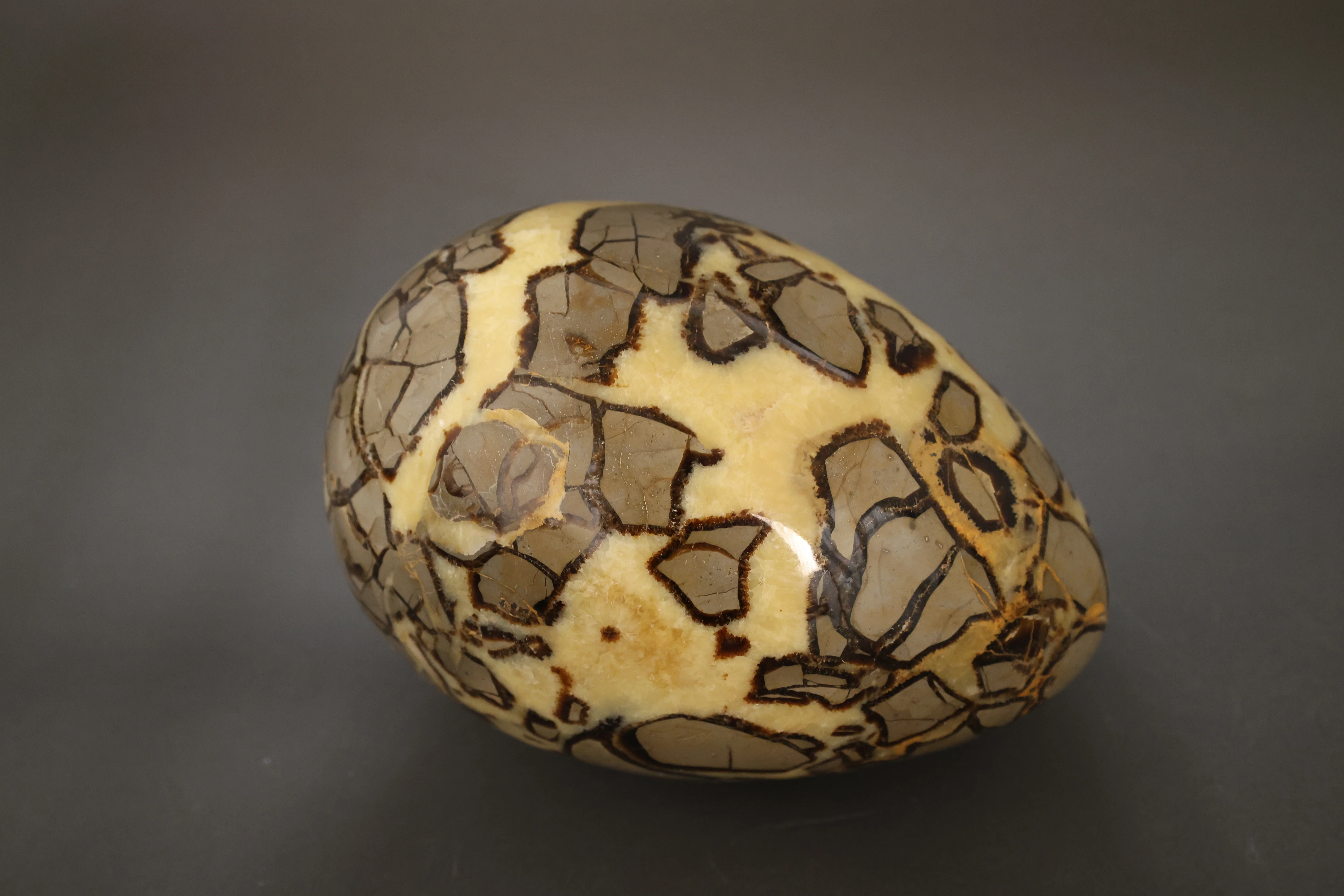 Septarian Nodule Egg Sculpture - 9.65" - Image 8