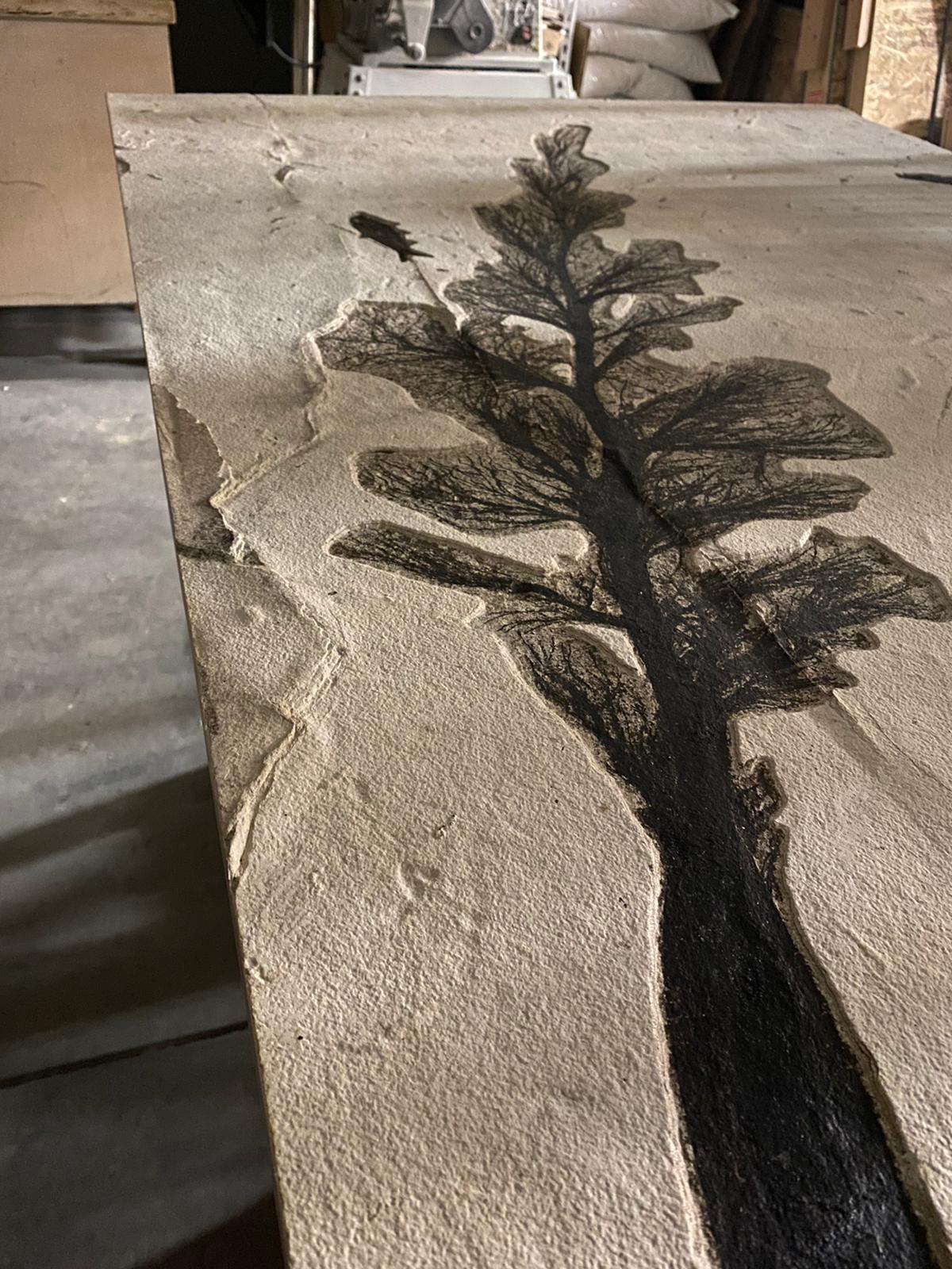Large Fossil Inflorescence with Fish - 71.5" - Image 2