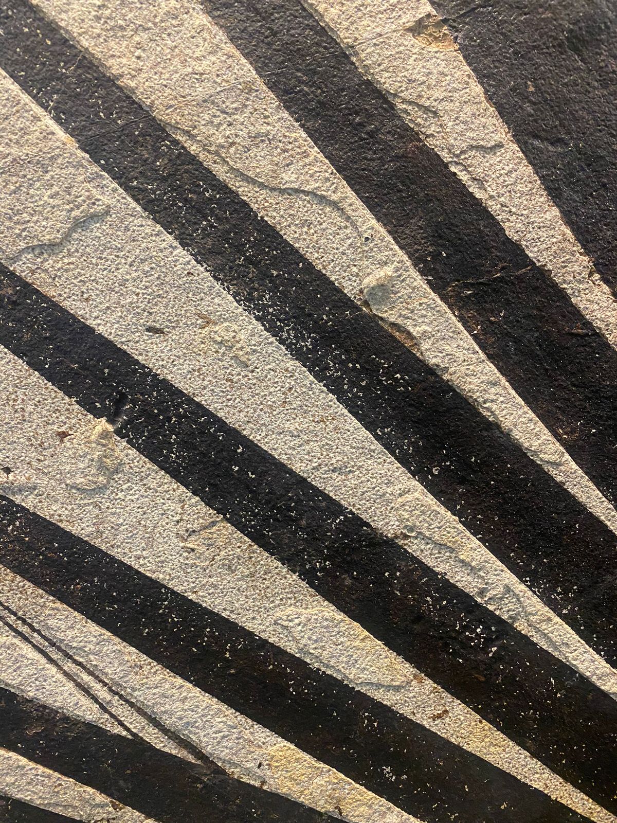 Fossil Palm with Fish - 72" x 70" - Image 10