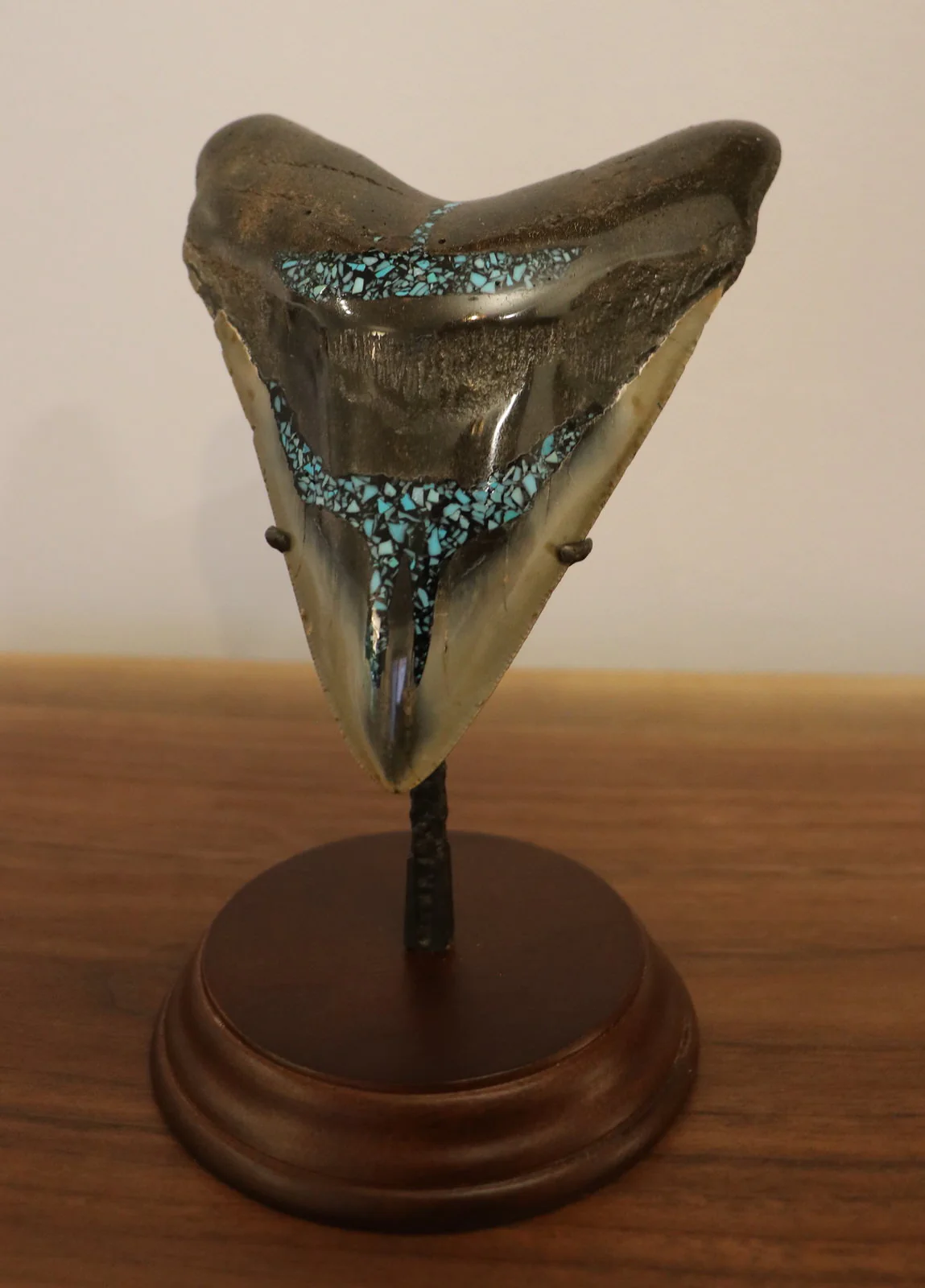 Meg Tooth, 5.43" Pyrite/Turquoise - Image 2