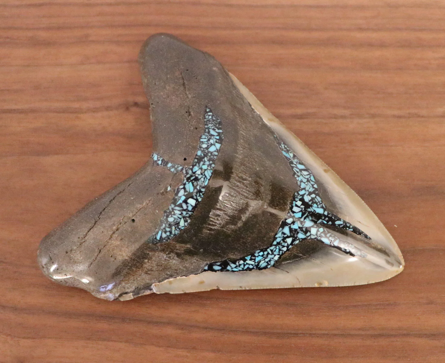 Meg Tooth, 5.43" Pyrite/Turquoise - Image 4