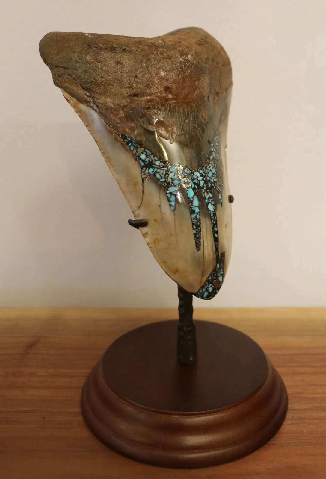 Meg Tooth, 5.58" Pyrite/Turquoise - Image 3