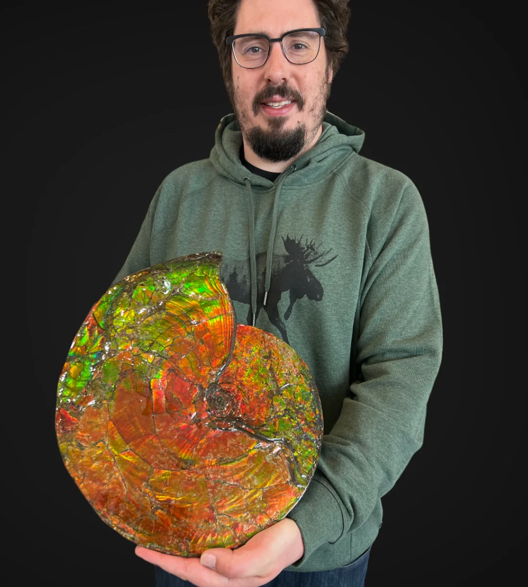 Iridescent Canadian Ammonite, 14.75" - Image 5