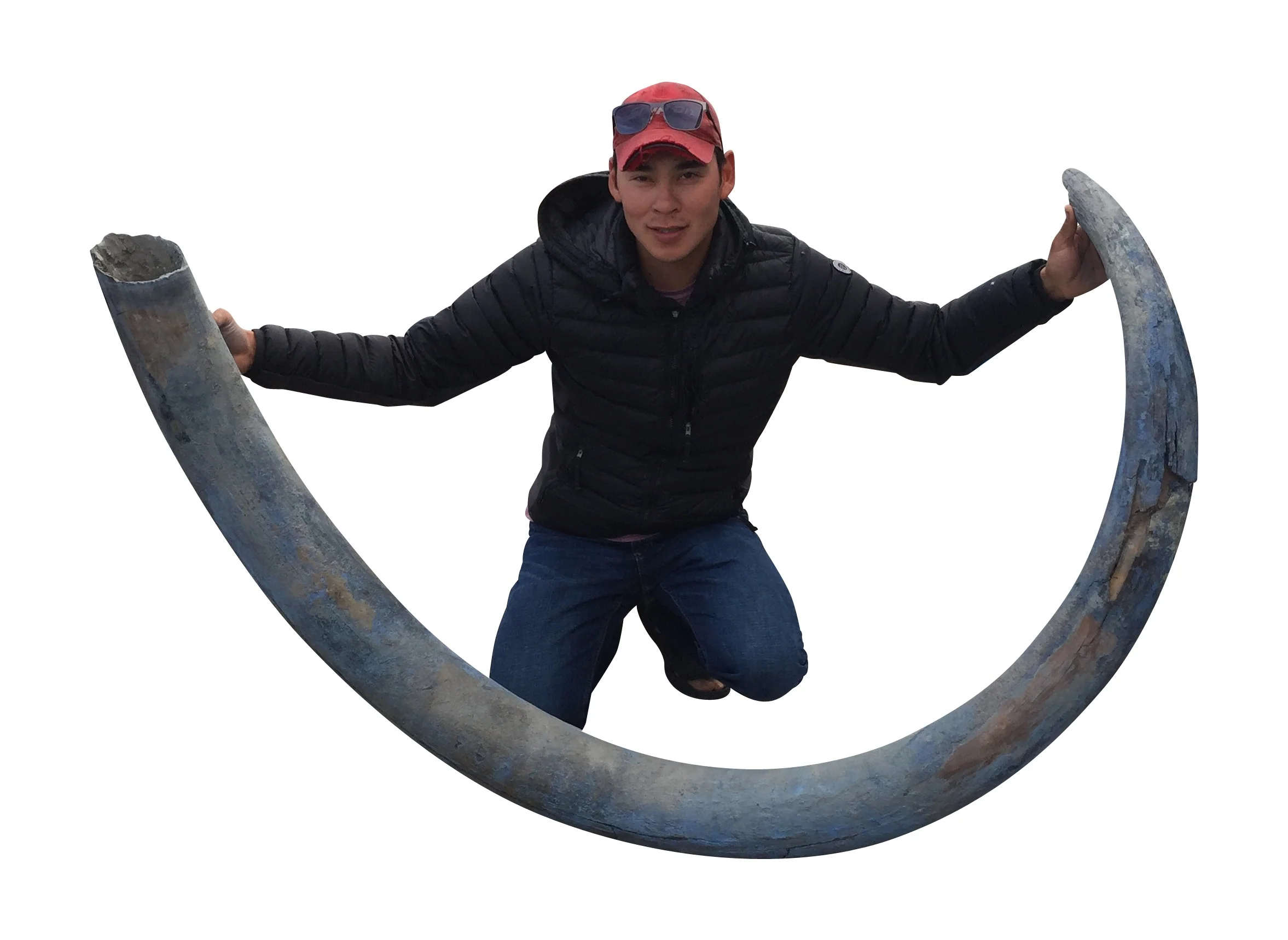 Mammoth Tusk, Alaska, United States - Image 10