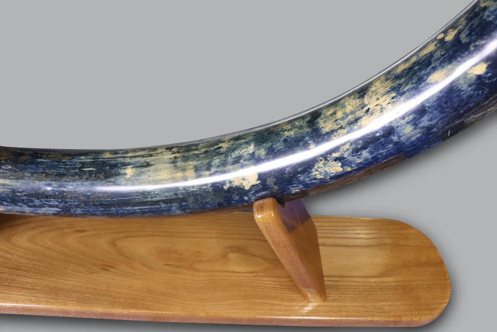 Mammoth Tusk, Alaska, United States - Image 7