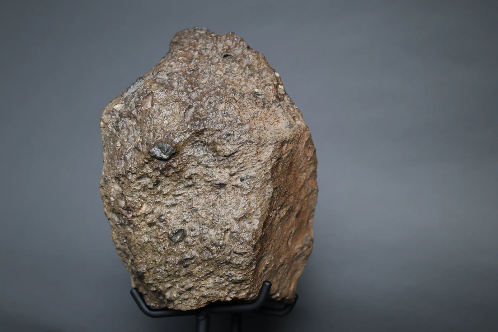 Lunar Meteorite Evidencing Subsurface Water - 10.8 kg - Image 15