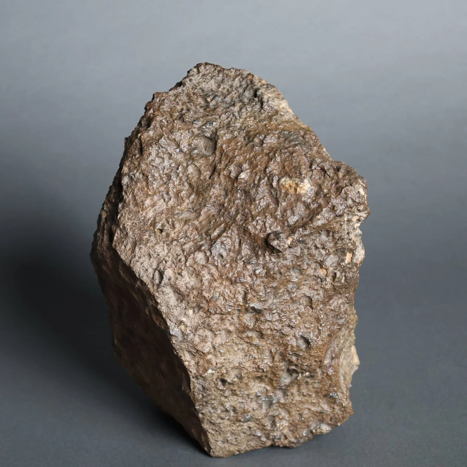 Lunar Meteorite Evidencing Subsurface Water - 10.8 kg - Image 6