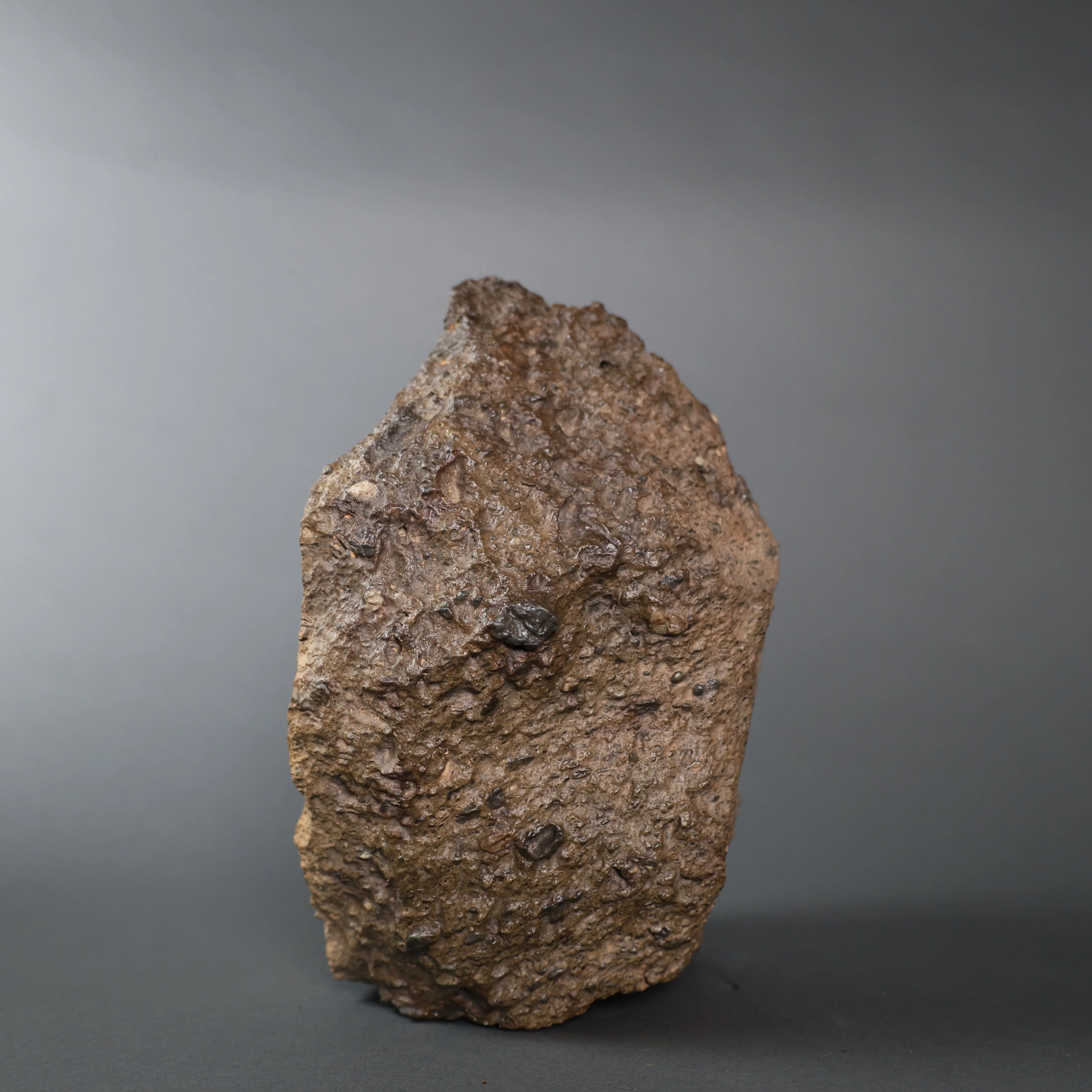 Lunar Meteorite Evidencing Subsurface Water - 10.8 kg - Image 7