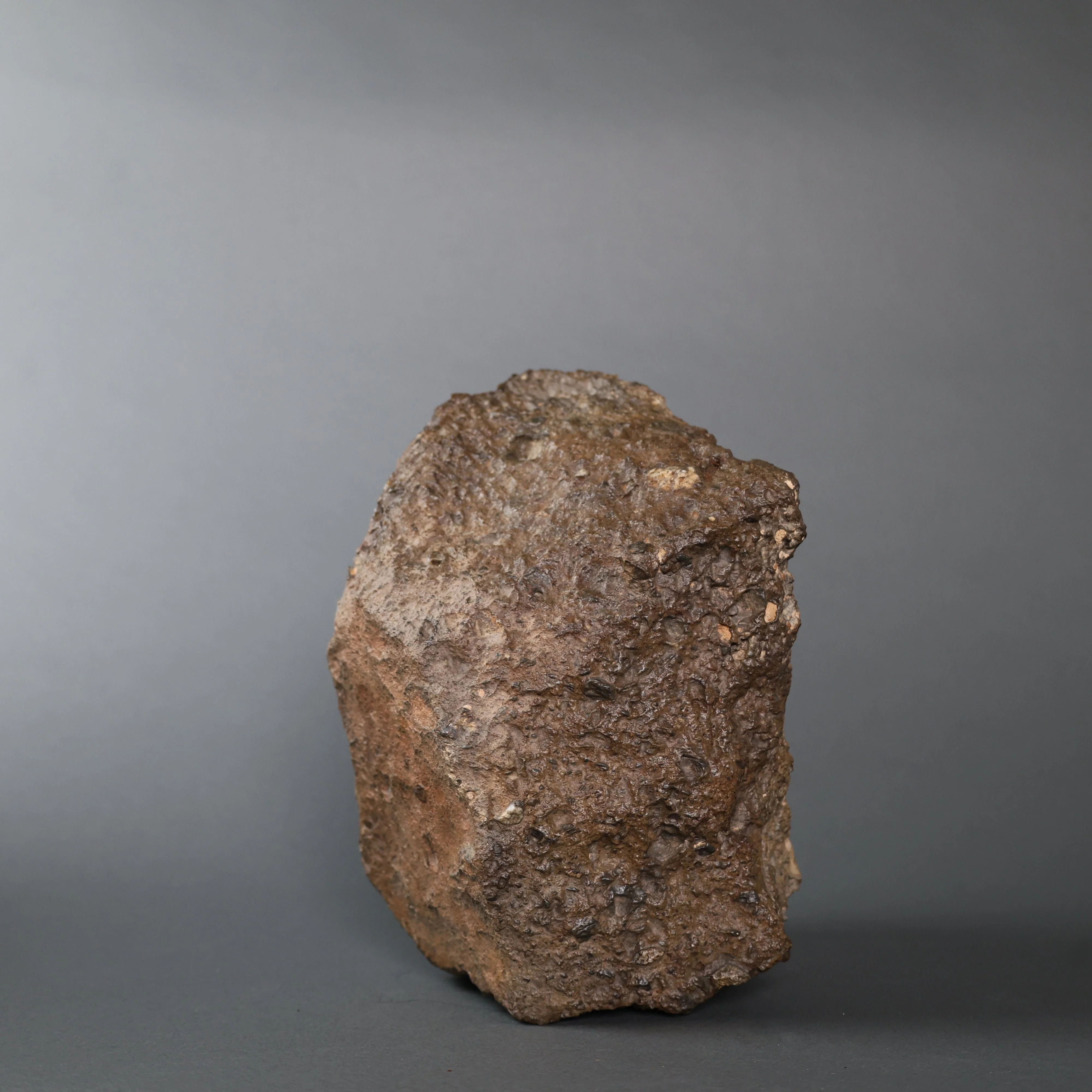 Lunar Meteorite Evidencing Subsurface Water - 10.8 kg - Image 8