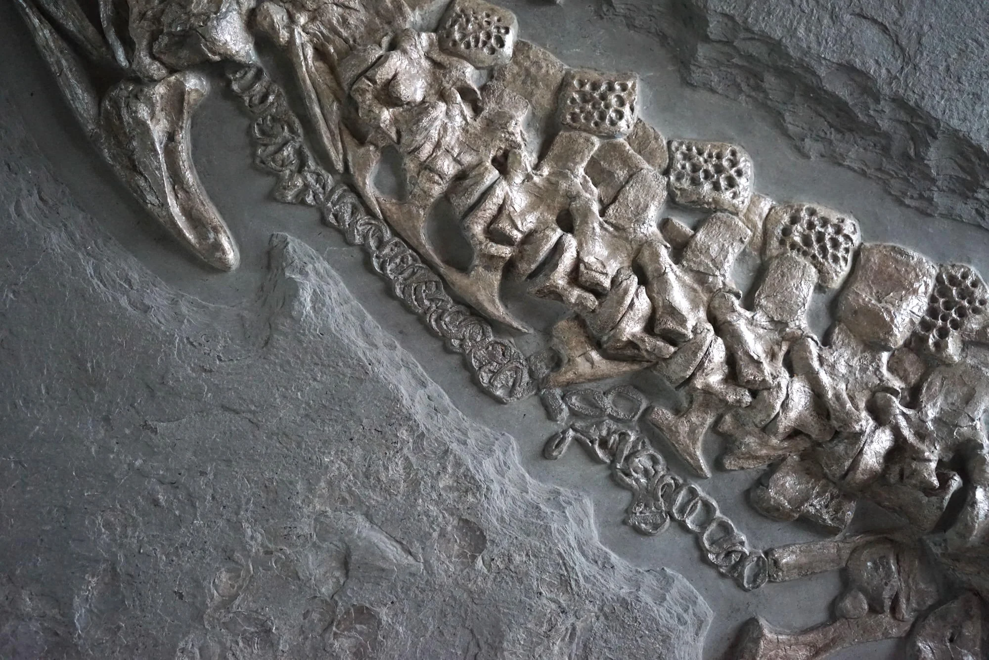 Jurassic Crocodile, Posidonia Shale, Germany - Image 6