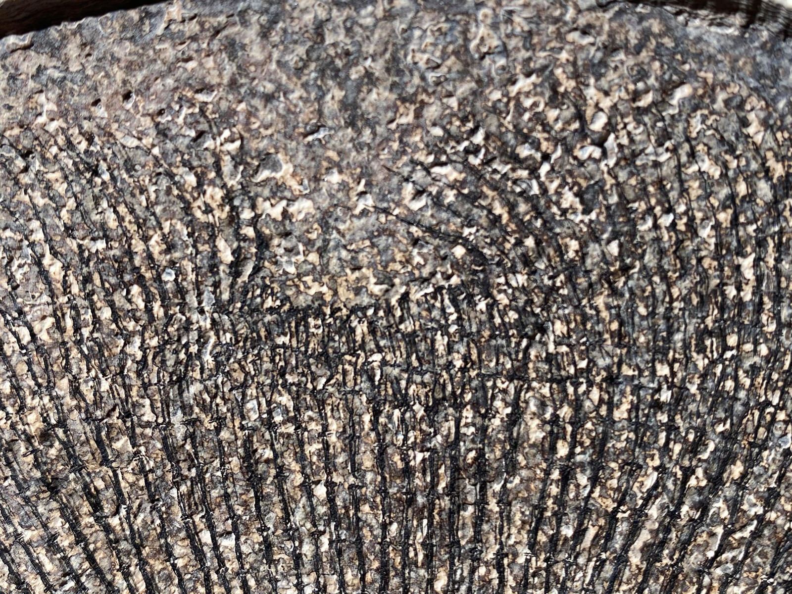 Fossil Stingray, Knightia Assemblage - 52" x 42" - Image 9