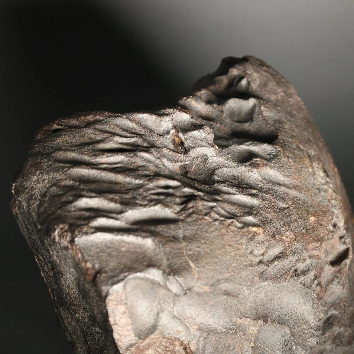 VS #2 - Oriented Stone Meteorite with Flight Lines, 24.7 kg - Image 3