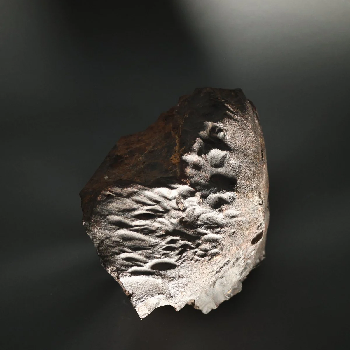 VS #2 - Oriented Stone Meteorite with Flight Lines, 24.7 kg - Image 4