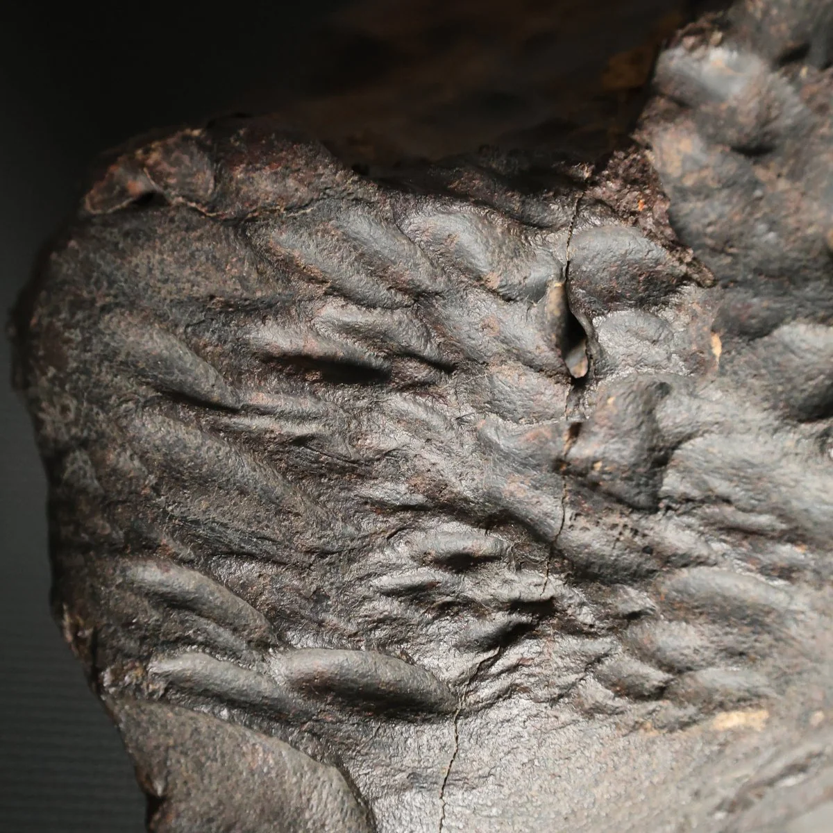 VS #2 - Oriented Stone Meteorite with Flight Lines, 24.7 kg - Image 5
