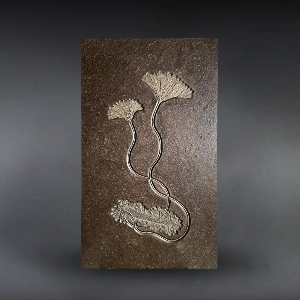 Pyritized Jurassic Crinoid