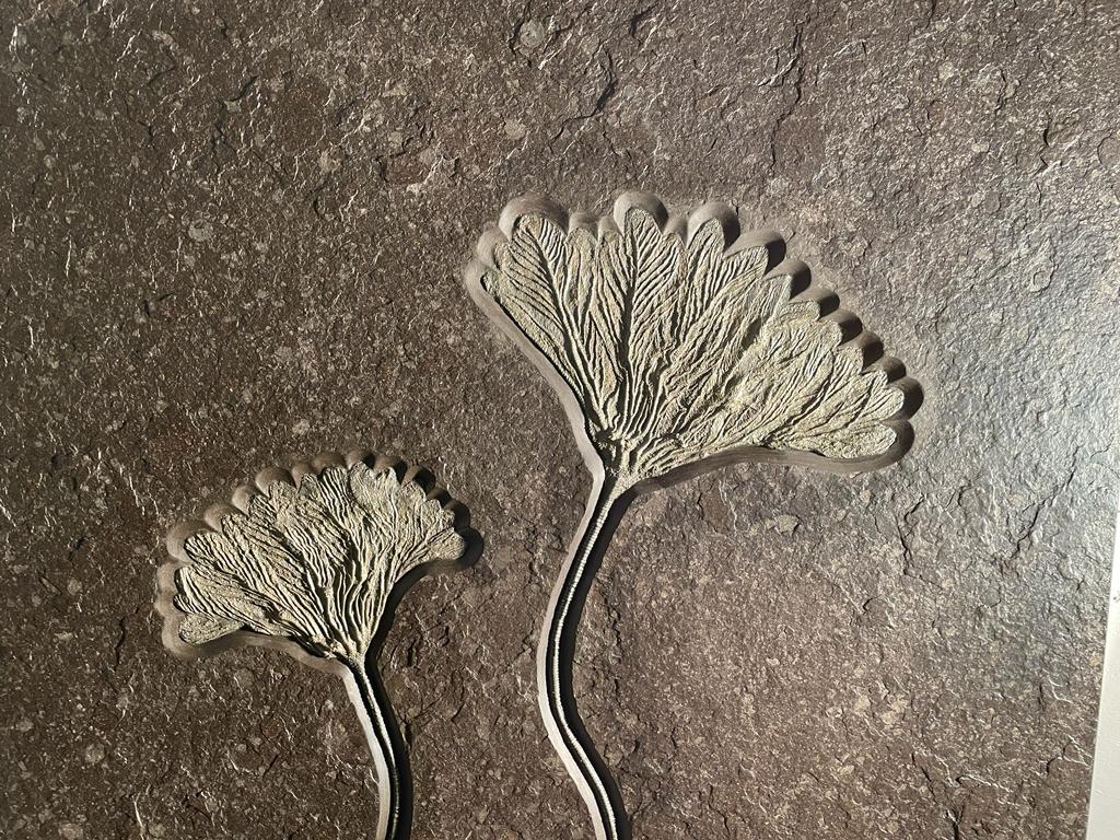 Pyritized Jurassic Crinoid - Image 3