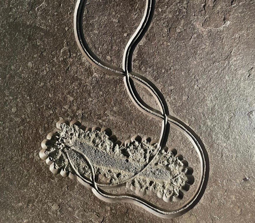 Pyritized Jurassic Crinoid - Image 4