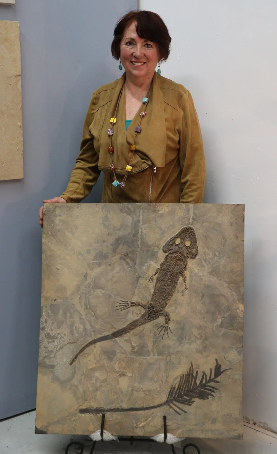 Sclerocephalus and Walchia Association - Image 3