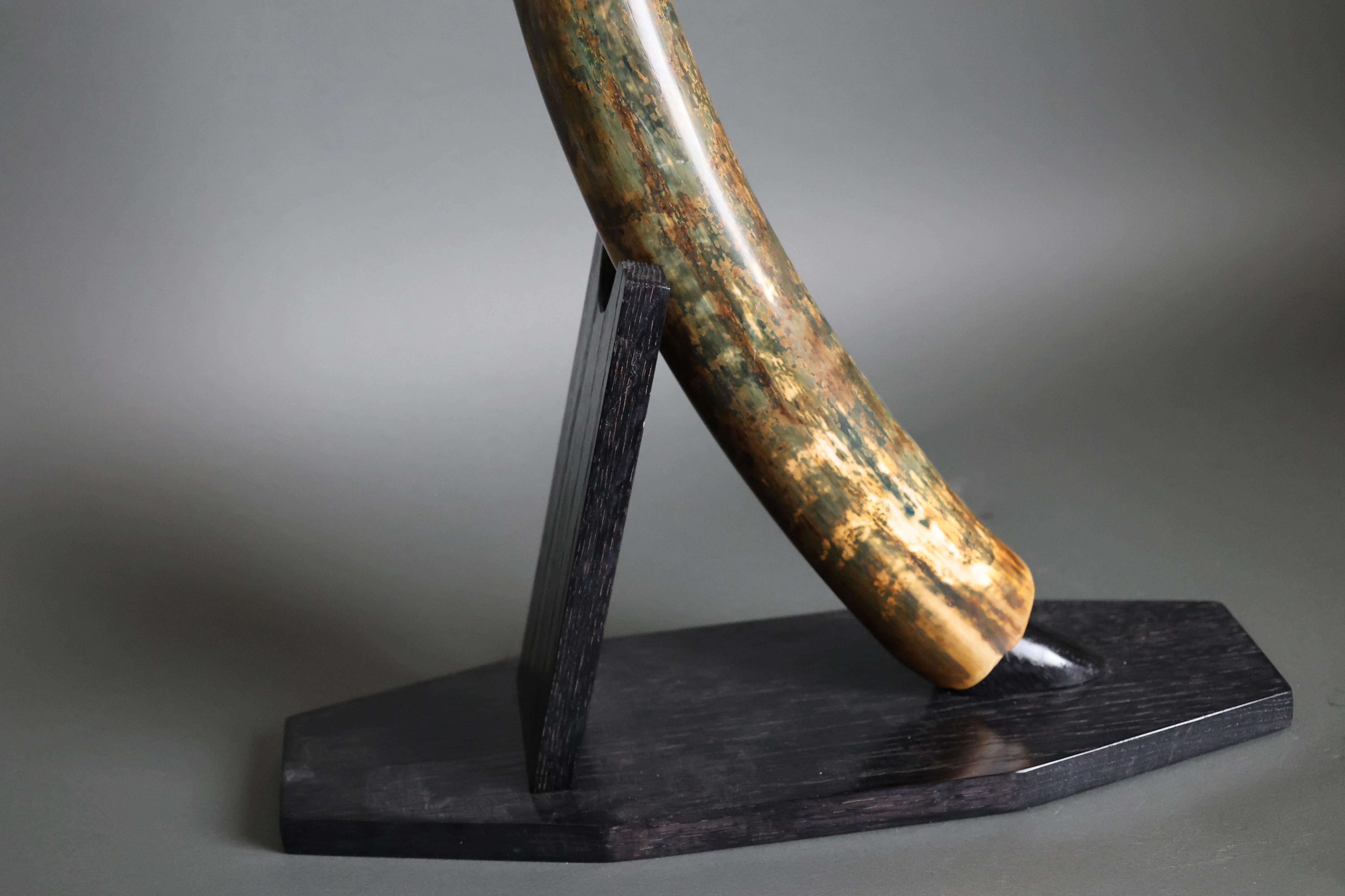 Woolly Mammoth Tusk - 41" - Image 3